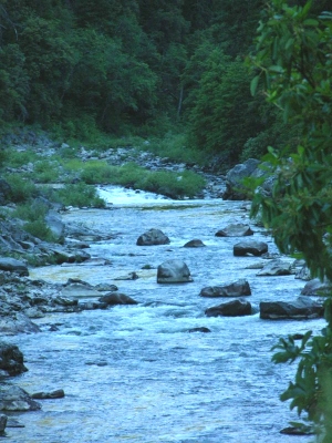 Main view of Cougar Bar Placer Mine