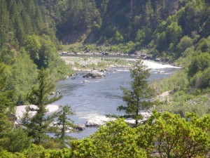 gold mining claims  22