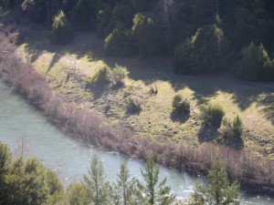 Eagles Haven Gold Claim 1